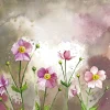 Alex Clark Coaster - Japanese Anemones