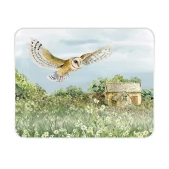 National Trust Medium Glass Worktop Protector - Barn Owl