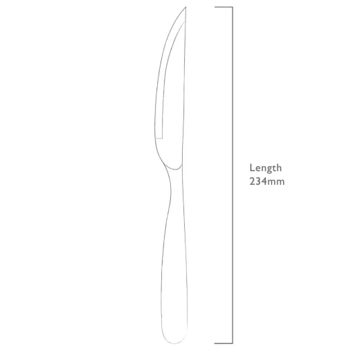 Robert Welch Stanton Bright Stainless Steel Steak Knife