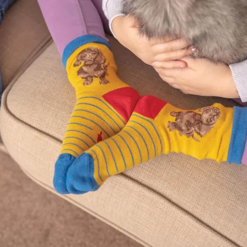 Wrendale Designs By Hannah Dale Childrens 6 to 8½ Bamboo Socks - Dachshund
